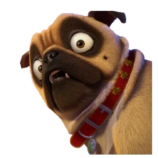 😱