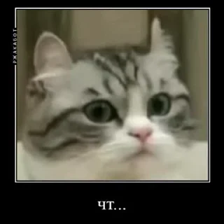 😬