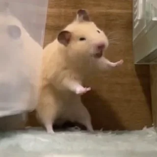 😅