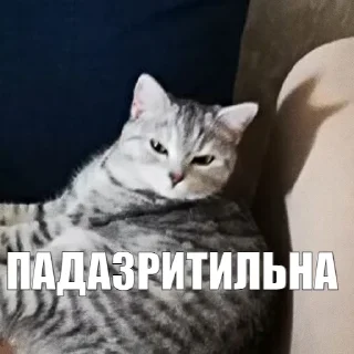 😑