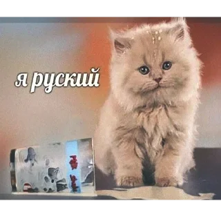 🇷🇺