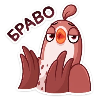 👏