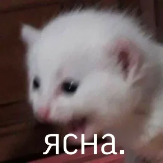 🥳