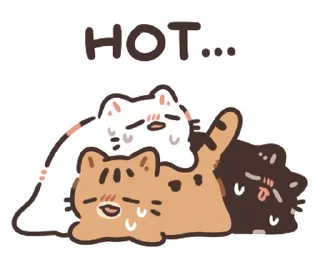⭐