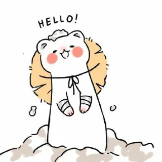 👋