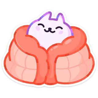 🐱