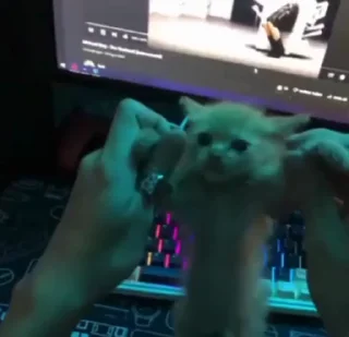 🥳
