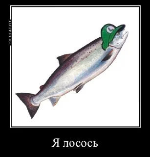 🐟