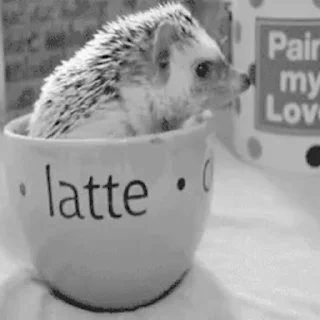 ☕️