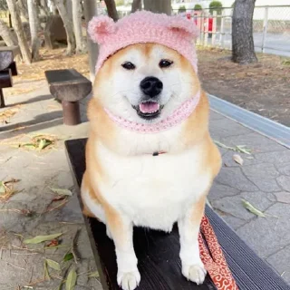 🎩