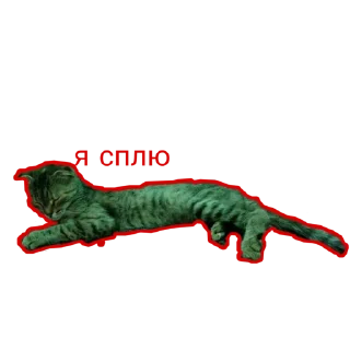 😴