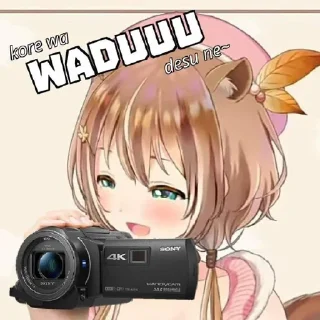 📸