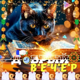🌟