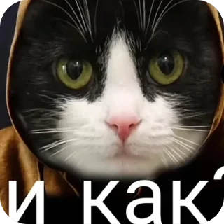 🫥