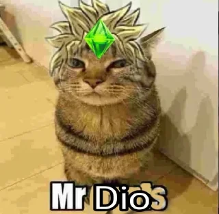 🌟