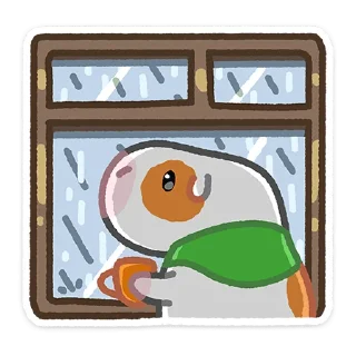 ☔️