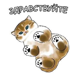 🤝