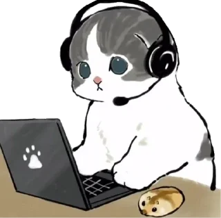 💻