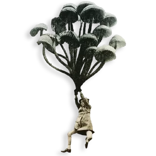 ☂️