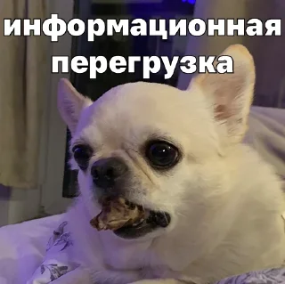🥶