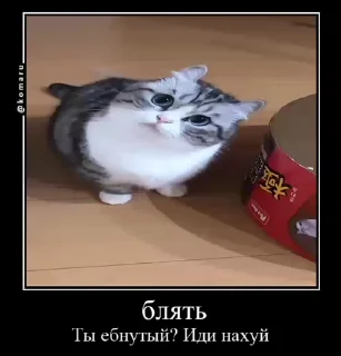 😊