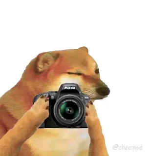 🐶