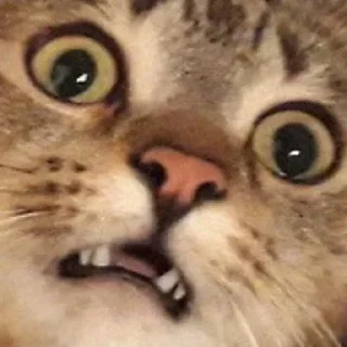 😯