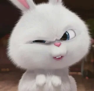 🐰