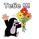 🌺