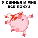 🐷