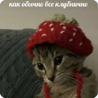 🍓