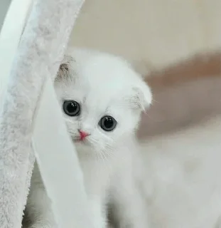 😌