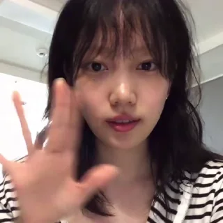 🦨