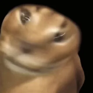 😵‍💫