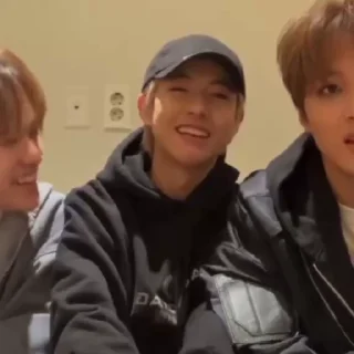 🦊