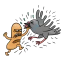 🐦