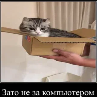 😃