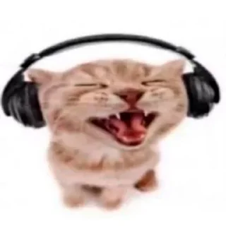 🤪