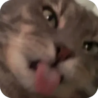 😛