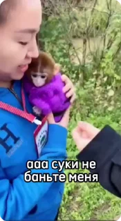 🌟
