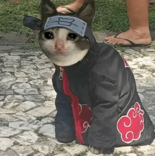🥺