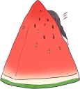 🍉