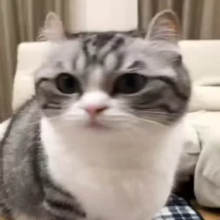 🥰