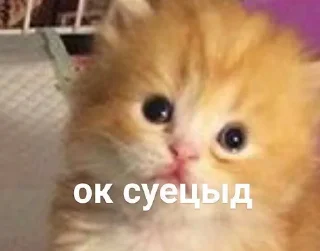 😣
