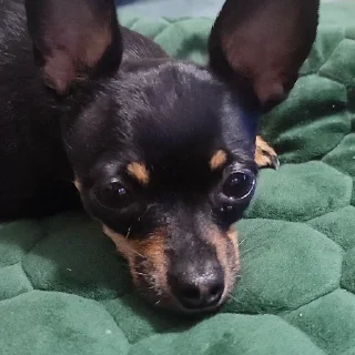 😮‍💨