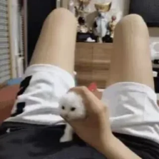 😨