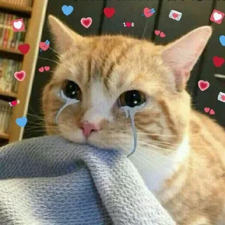 😭