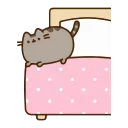 😸