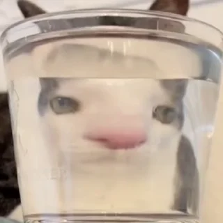 🤡