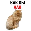 😂